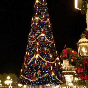 Meet your Posher, Patti